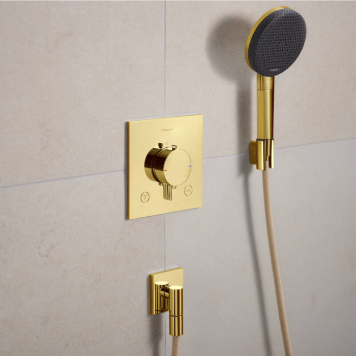 ECOSTAT COMFORT E термостат для 2х споживачів, ПМ, полірованне золото