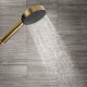 PULSIFY лійка ручного душа (3 типа струменів PowderRain, IntenseRain, Massage) колір шліфована бронза