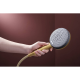 RAINDANCE ALIVE SELECT S ручний душ (3 типи струменів RainAir, PowderRain, Massage), шліфованна бронза
