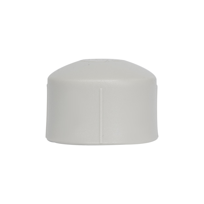 Заглушка PPR Thermo Alliance 25