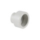 Муфта PPR Thermo Alliance 50х32