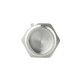 Заглушка Thermo Alliance Forte 1" ЗР SF35325