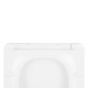 Сидіння для унітаза Qtap (Crow 520,640) з мікроліфтом Slim QT0599SC2170W