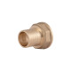Штуцер Thermo Alliance Standart 25х1" ВР SD4262525
