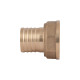 Штуцер Thermo Alliance Standart 25х1" ВР SD4262525