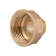 Перехідник Thermo Alliance Standart 1"х1/2" ВЗ SD4092515