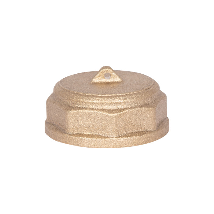 Заглушка Thermo Alliance Standart 1" ВР SD40225