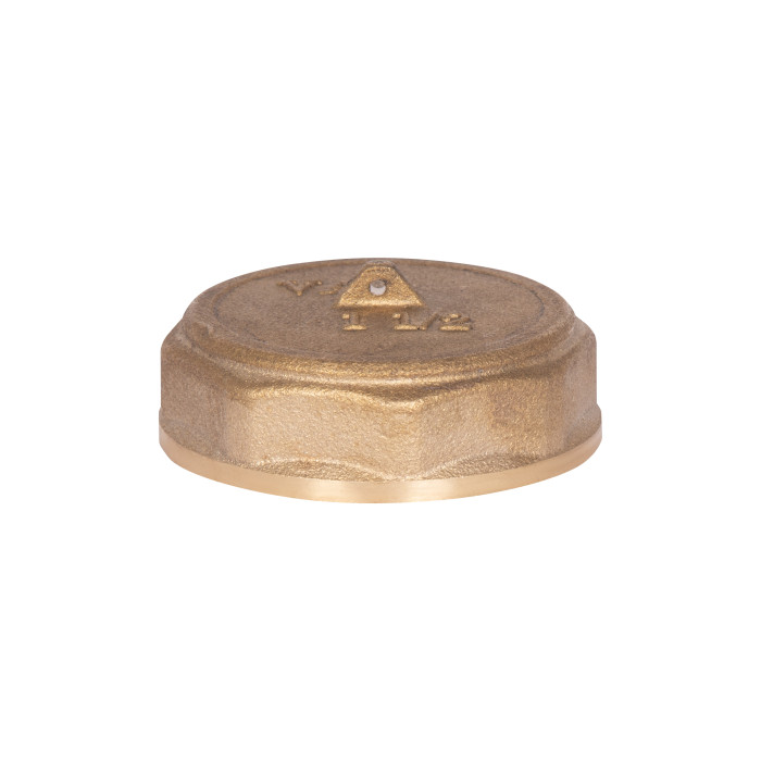 Заглушка Thermo Alliance Standart 1 1/2" ВР SD40240