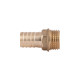 Штуцер Thermo Alliance Standart 16х1/2" ЗР SD4271516